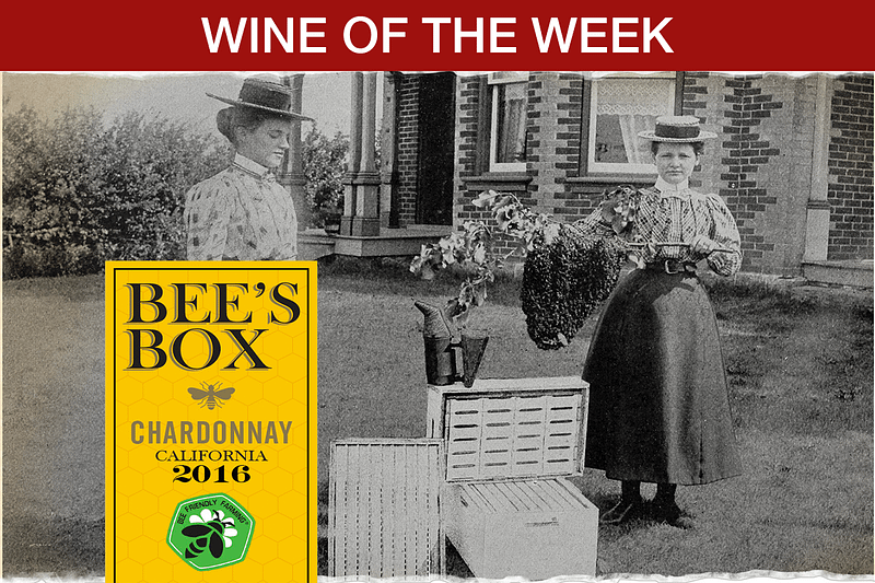 Bee's Box Chardonnay 2016 Wine of The Week